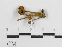登錄號:F0001713藏品圖，第4張