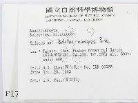 登錄號:F0001716藏品圖，第2張