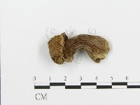 登錄號:F0001716藏品圖，第1張