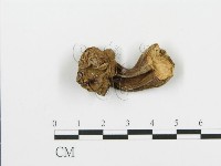 登錄號:F0001716藏品圖，第3張