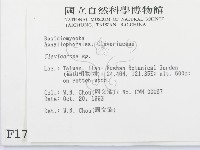 登錄號:F0001717藏品圖，第2張