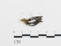登錄號:F0001717藏品圖，第1張