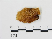 登錄號:F0001720藏品圖，第3張