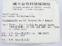 登錄號:F0001721藏品圖，第2張