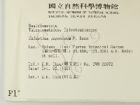 登錄號:F0001722藏品圖，第2張