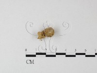 登錄號:F0001722藏品圖，第1張