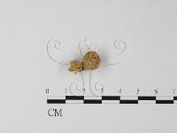 登錄號:F0001722藏品圖，第3張