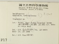 登錄號:F0001724藏品圖，第2張