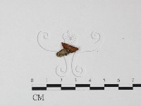 登錄號:F0001724藏品圖，第1張