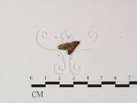 登錄號:F0001724藏品圖，第3張