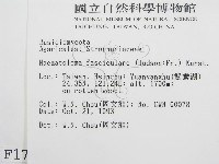登錄號:F0001728藏品圖，第2張