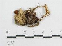 登錄號:F0001728藏品圖，第3張