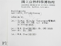 盔孢傘屬藏品圖，第2張