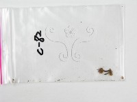 登錄號:F0001732藏品圖，第3張