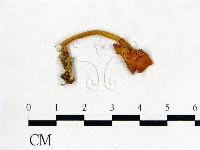 登錄號:F0001733藏品圖，第1張
