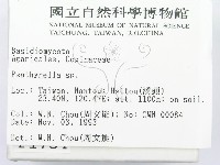 登錄號:F0001734藏品圖，第2張