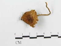 登錄號:F0001734藏品圖，第3張