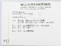 登錄號:F0001735藏品圖，第2張