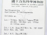 登錄號:F0001737藏品圖，第2張