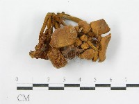 登錄號:F0001737藏品圖，第3張