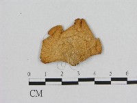 登錄號:F0001738藏品圖，第1張