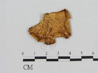 登錄號:F0001738藏品圖，第3張