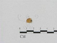 登錄號:F0001739藏品圖，第1張