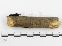 登錄號:F0001739藏品圖，第6張