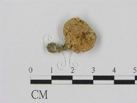 登錄號:F0001740藏品圖，第1張