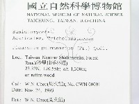 登錄號:F0001741藏品圖，第2張