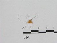 登錄號:F0001742藏品圖，第3張