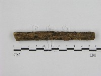 登錄號:F0001743藏品圖，第1張