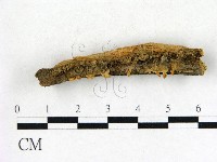 登錄號:F0001746藏品圖，第1張