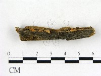 登錄號:F0001746藏品圖，第3張