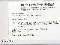 登錄號:F0001747藏品圖，第2張