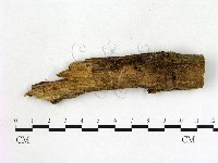 登錄號:F0001747藏品圖，第1張