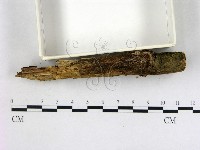 登錄號:F0001747藏品圖，第3張