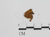 登錄號:F0001748藏品圖，第3張