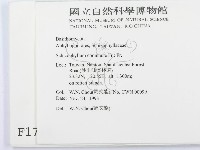 裂褶菌藏品圖，第2張