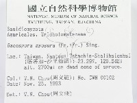 登錄號:F0001752藏品圖，第2張