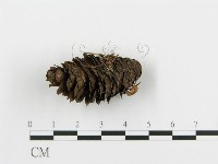 登錄號:F0001752藏品圖，第3張
