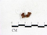 登錄號:F0001754藏品圖，第1張
