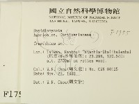 登錄號:F0001755藏品圖，第2張