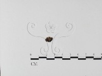 登錄號:F0001755藏品圖，第1張