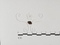 登錄號:F0001755藏品圖，第3張
