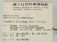 登錄號:F0001756藏品圖，第2張
