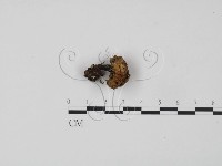 登錄號:F0001756藏品圖，第3張