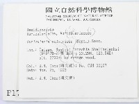 毛木耳藏品圖，第2張