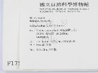 登錄號:F0001759藏品圖，第2張