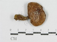 登錄號:F0001759藏品圖，第1張